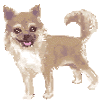 5595104.gif